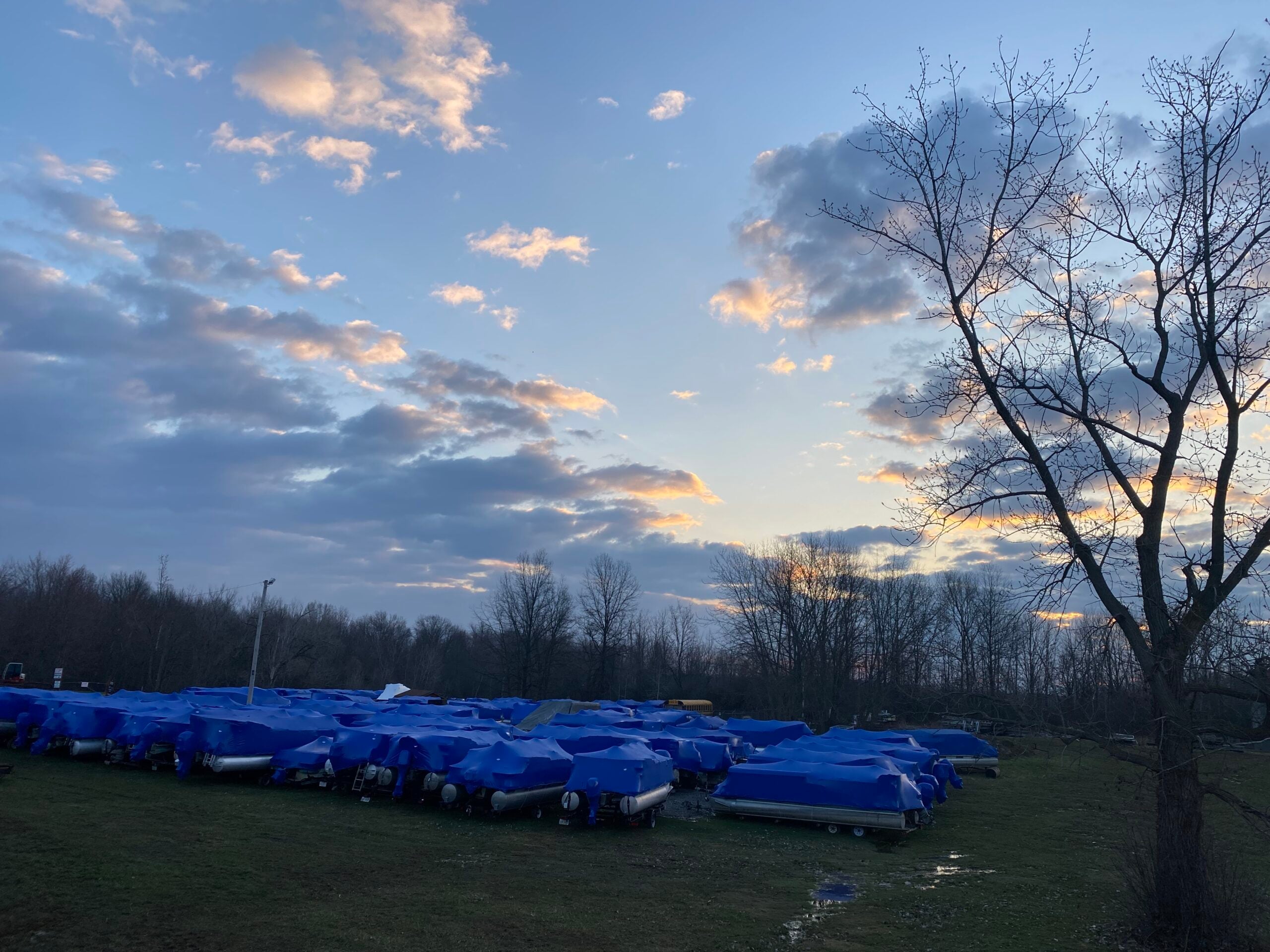 Blue tarps cover a variety of boats to protect them from damages
